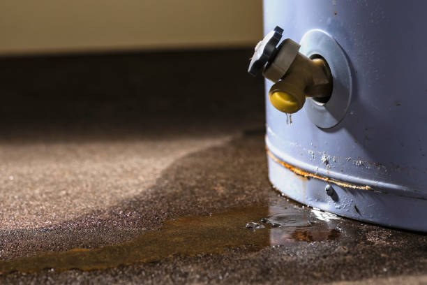 Best Fire Damage Restoration  in Harlem, GA