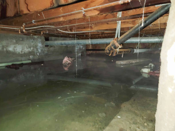 Best 24/7 water damage repair  in Harlem, GA