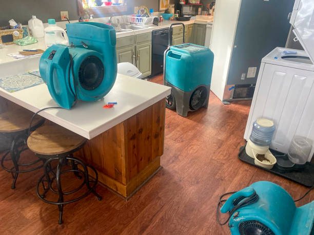 Best 24/7 water damage repair  in Harlem, GA