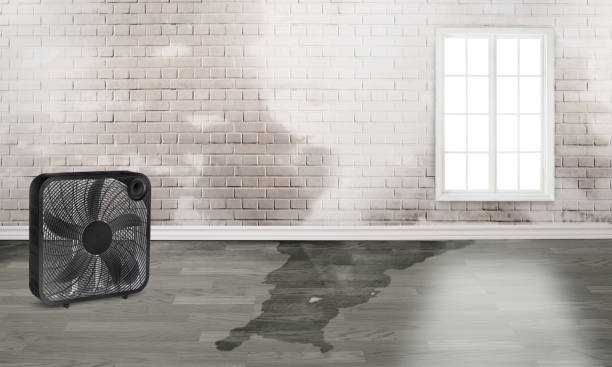 Best Emergency water damage restoration  in Harlem, GA