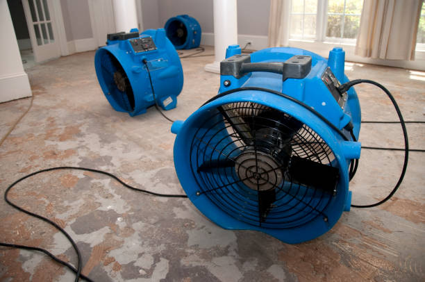 Best Flooded house restoration  in Harlem, GA