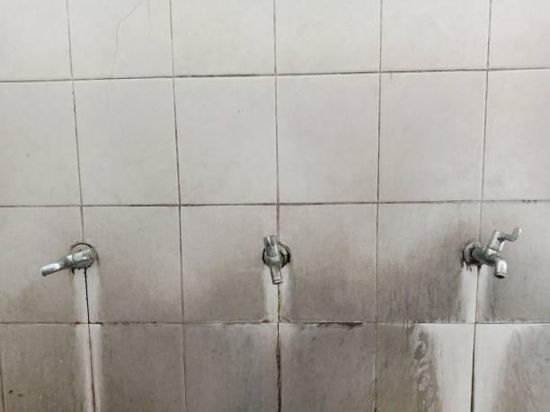 Best Flood restoration services  in Harlem, GA