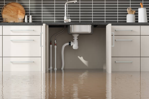 Best Flood restoration services  in Harlem, GA
