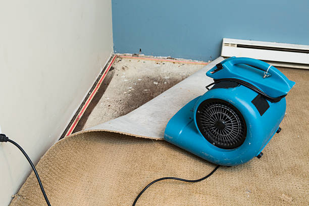 Best Ceiling water damage repair  in Harlem, GA